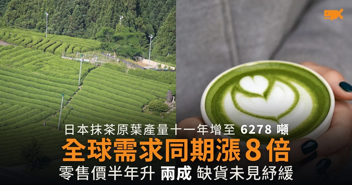 日本碾茶產量增 3.2 倍 全球抹茶需求同期漲 8 倍